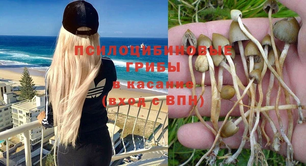 Альфа ПВП Балабаново