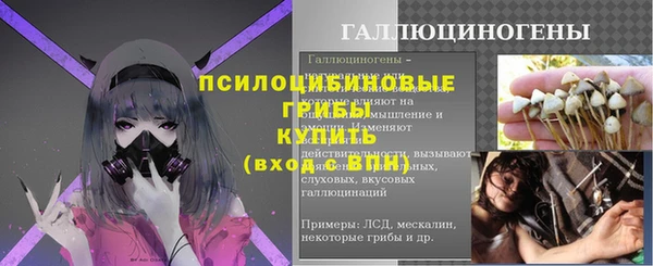 spice Сосновый Бор